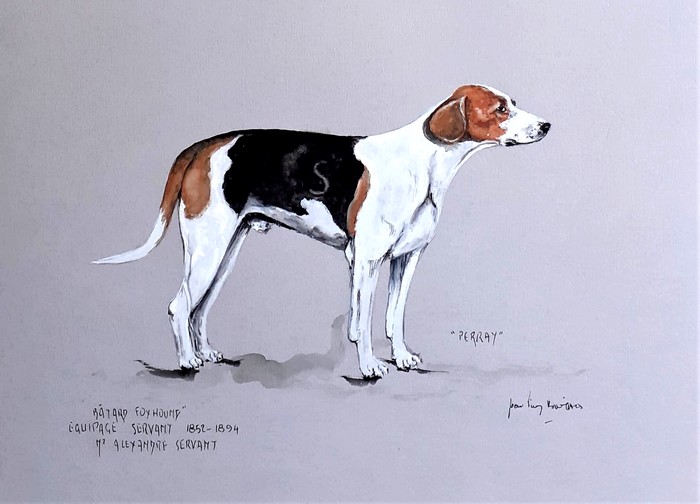 Perray, chien de l'Equipage Servant par Jean-Pierre Boitard - Don de l'artiste à la Société de Vènerie